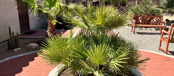 MARY PICKFORD ESTATE IN DESERT HOT SPRINGS 9 BEDROOMS AND 7.5 BATHS EVENTS