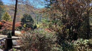 Un jardin avec un panneau en bois sur lequel est écrit « BIENVENUE » et un sentier qui le traverse.