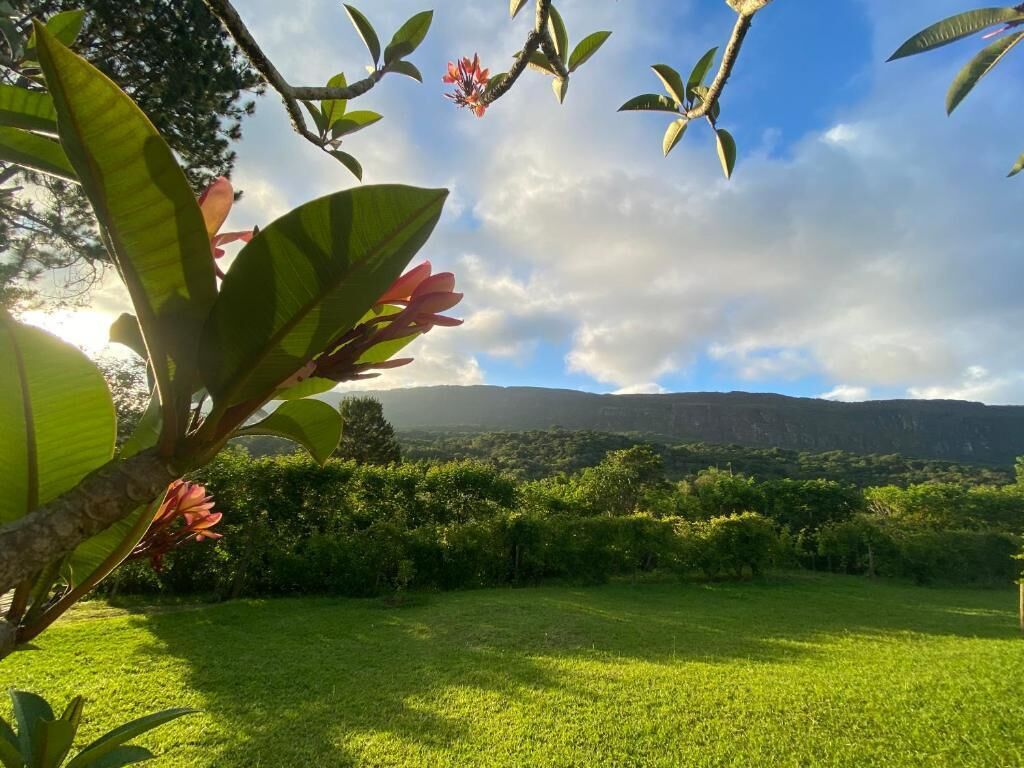 Um campo verde exuberante com uma montanha ao fundo e uma árvore com flores vermelhas em primeiro plano.