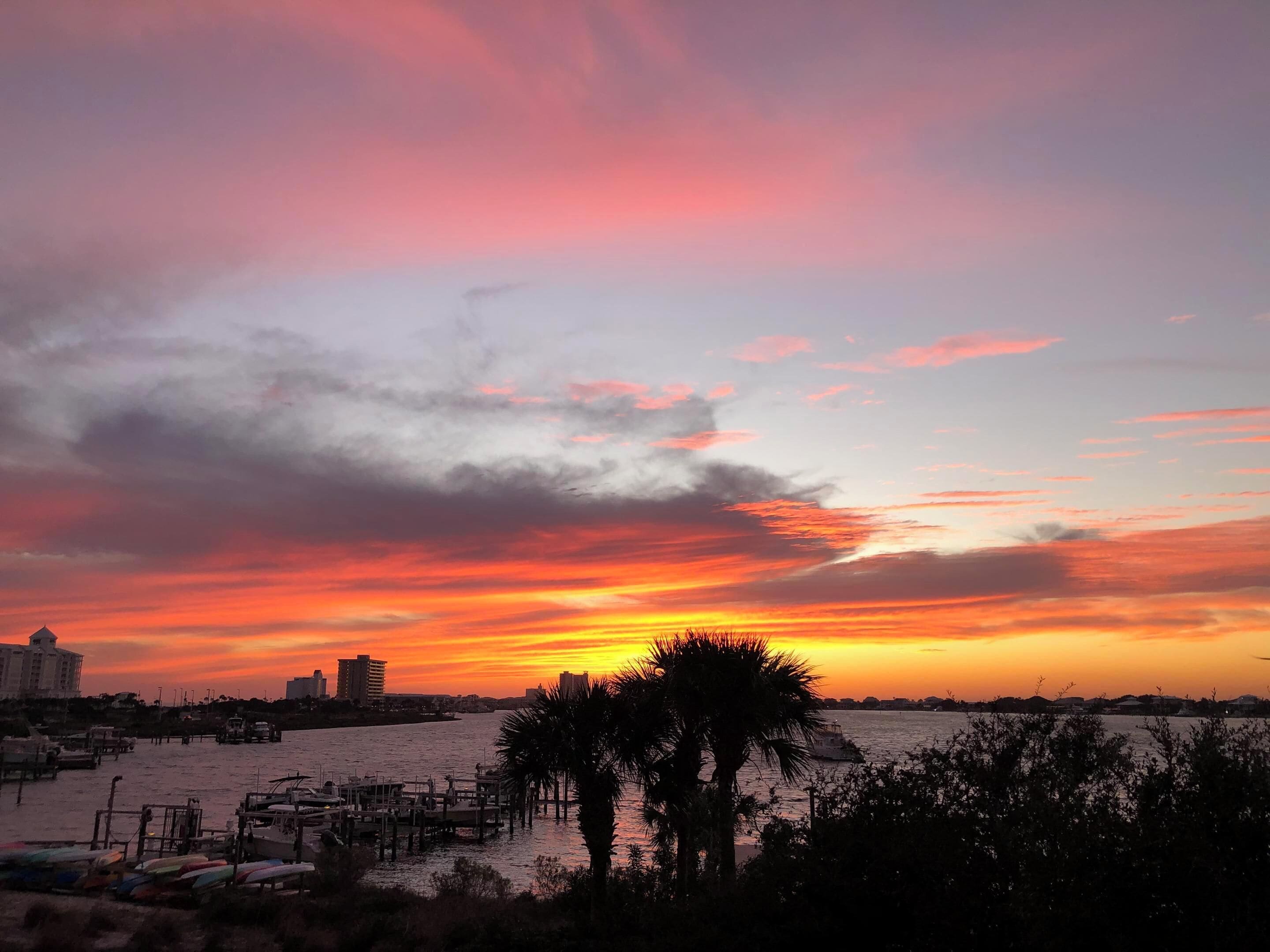 Un atardecer sobre un puerto deportivo con barcos amarrados, una palmera y edificios al fondo.