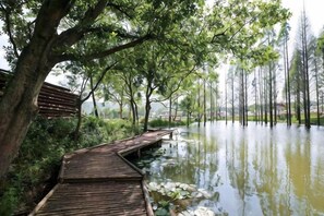 A wooden boardwalk leading into a calm body of water surrounded by trees.