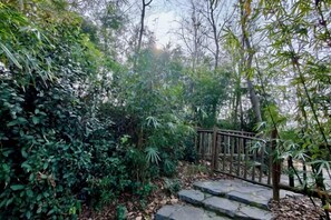 Un camí de pedra que travessa un jardí dens ple de plantes variades i una tanca de fusta.