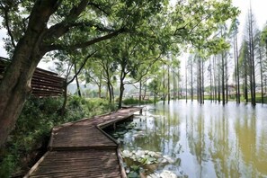 Une promenade en bois surplombant une étendue d’eau calme, bordée d’arbres et agrémentée d’un banc.