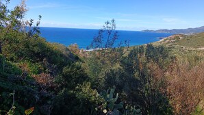 Un paisaje costero con vegetación densa y vista al mar.