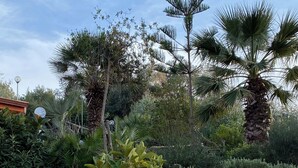 Un jardín con diversas plantas, un muro de piedra y un camino de ladrillo.