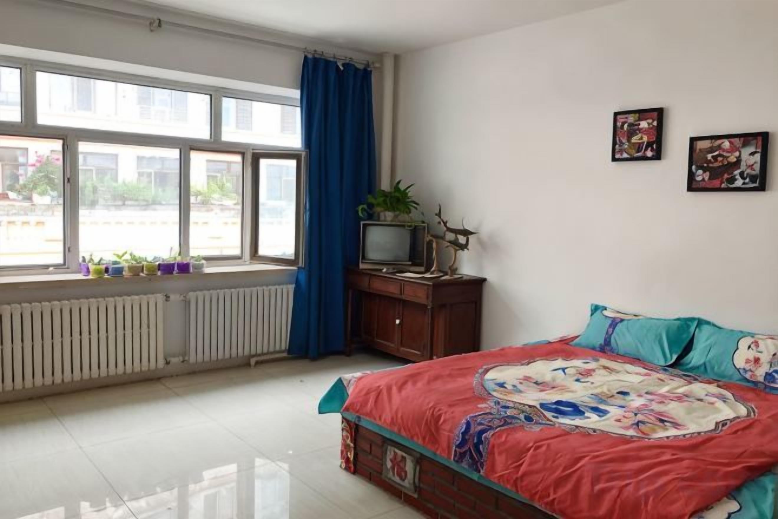 Une chambre avec un lit, une fenêtre, un radiateur, une télévision et une plante.