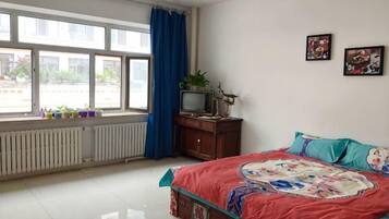 Une chambre avec un lit, une fenêtre, un radiateur, une télévision et une plante.