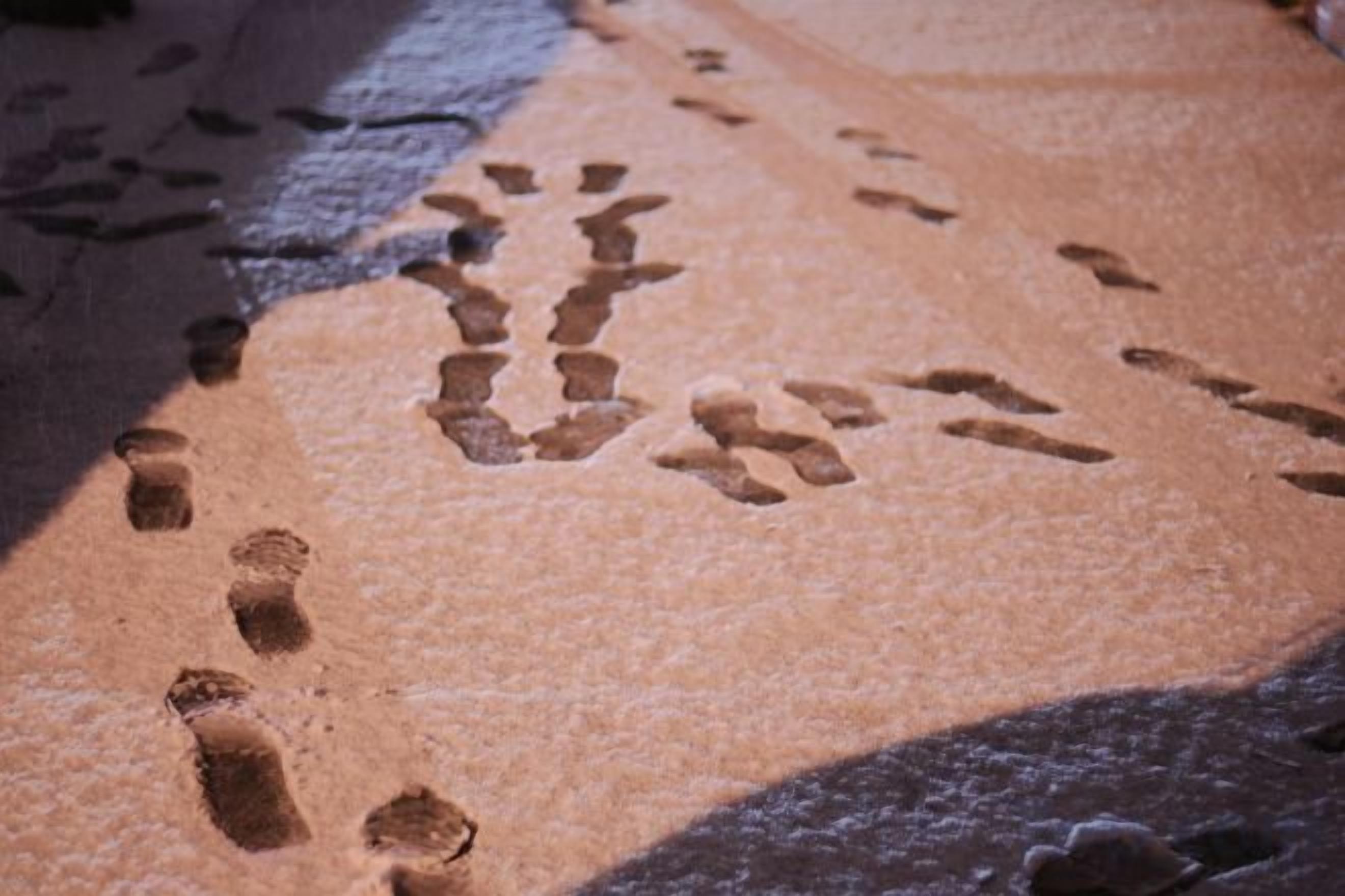 A close-up of footprints in the snow.