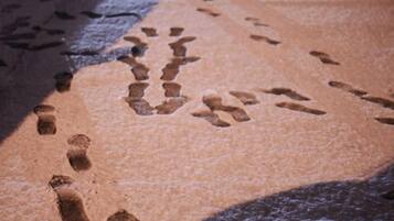 A close-up of footprints in the snow.