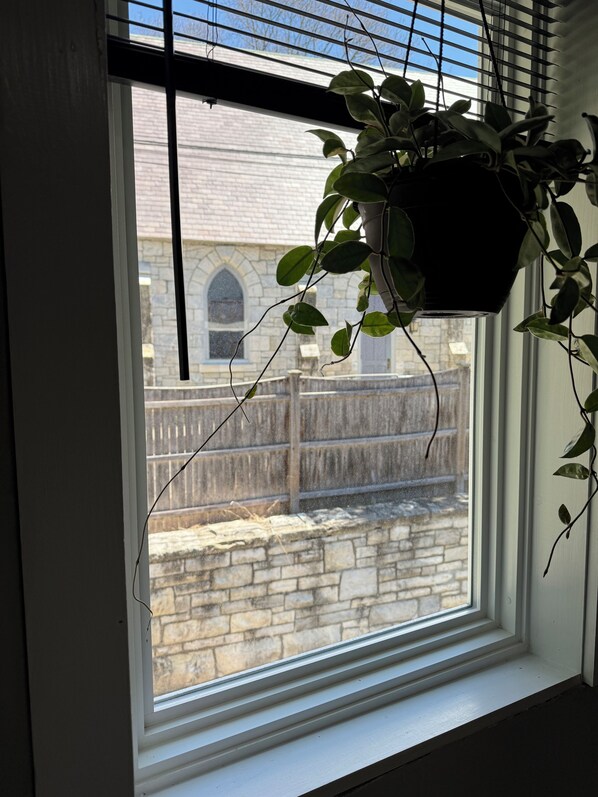 A window with a hanging plant, a stone wall, and a wooden fence in the background.
