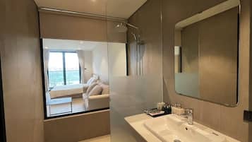 Standard Studio, City View | Bathroom | Hydromassage showerhead, bidet, towels, soap