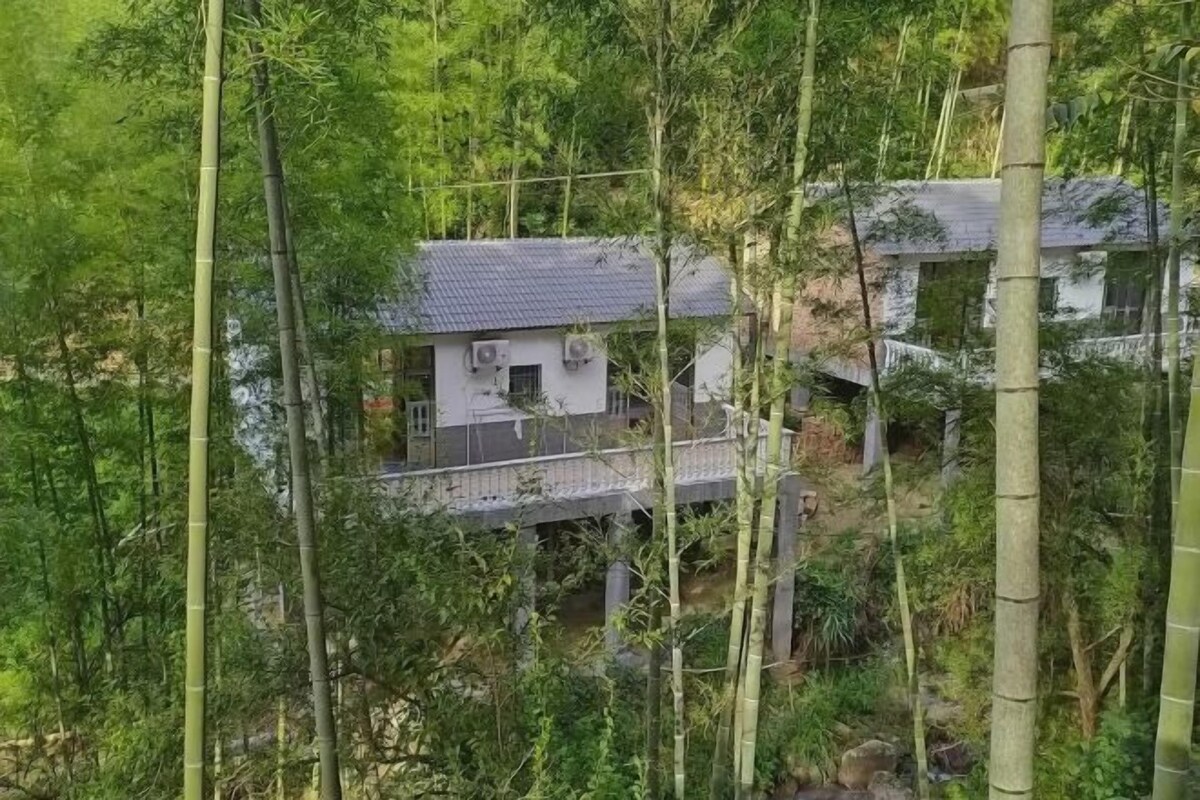A house surrounded by dense bamboo forest, with a visible balcony and a small water feature.