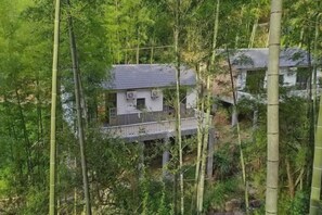 A house surrounded by dense bamboo forest, with a visible balcony and a small water feature. - Shennong Valley Xishui Hotel (Yanling)
