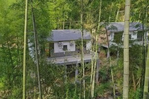 Una casa rodeada de un denso bosque de bambú, con un balcón visible y una pequeña fuente de agua.