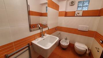 Shower, hair dryer, bidet, towels