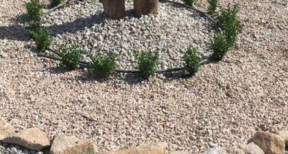 Casa Hridaya, a cosy and stylish base to either relax or explore Alentejo