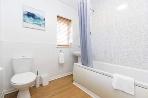 Shower, hair dryer
