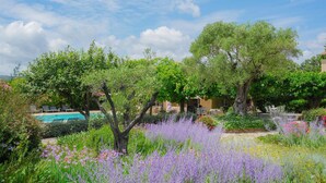 A pool surrounded by lush greenery and flowering plants.