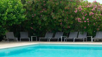 Ein Schwimmbecken mit Liegestühlen und einer dichten, grünen Hecke mit rosa Blüten.