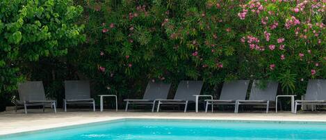 En swimmingpool med liggestole og en frodig grøn hæk med lyserøde blomster.