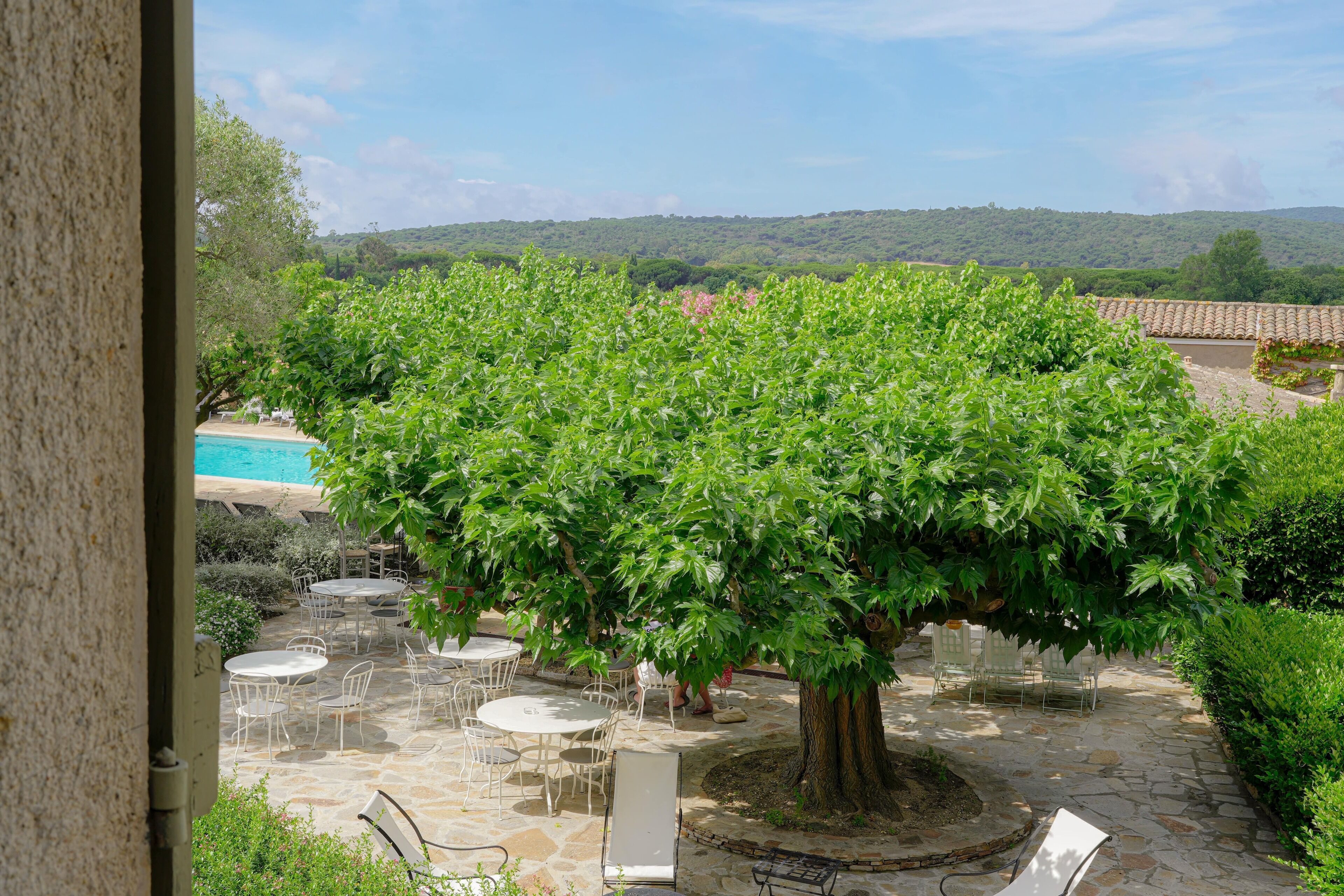 Blick auf den Garten