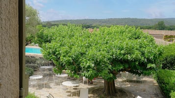 Blick auf den Garten