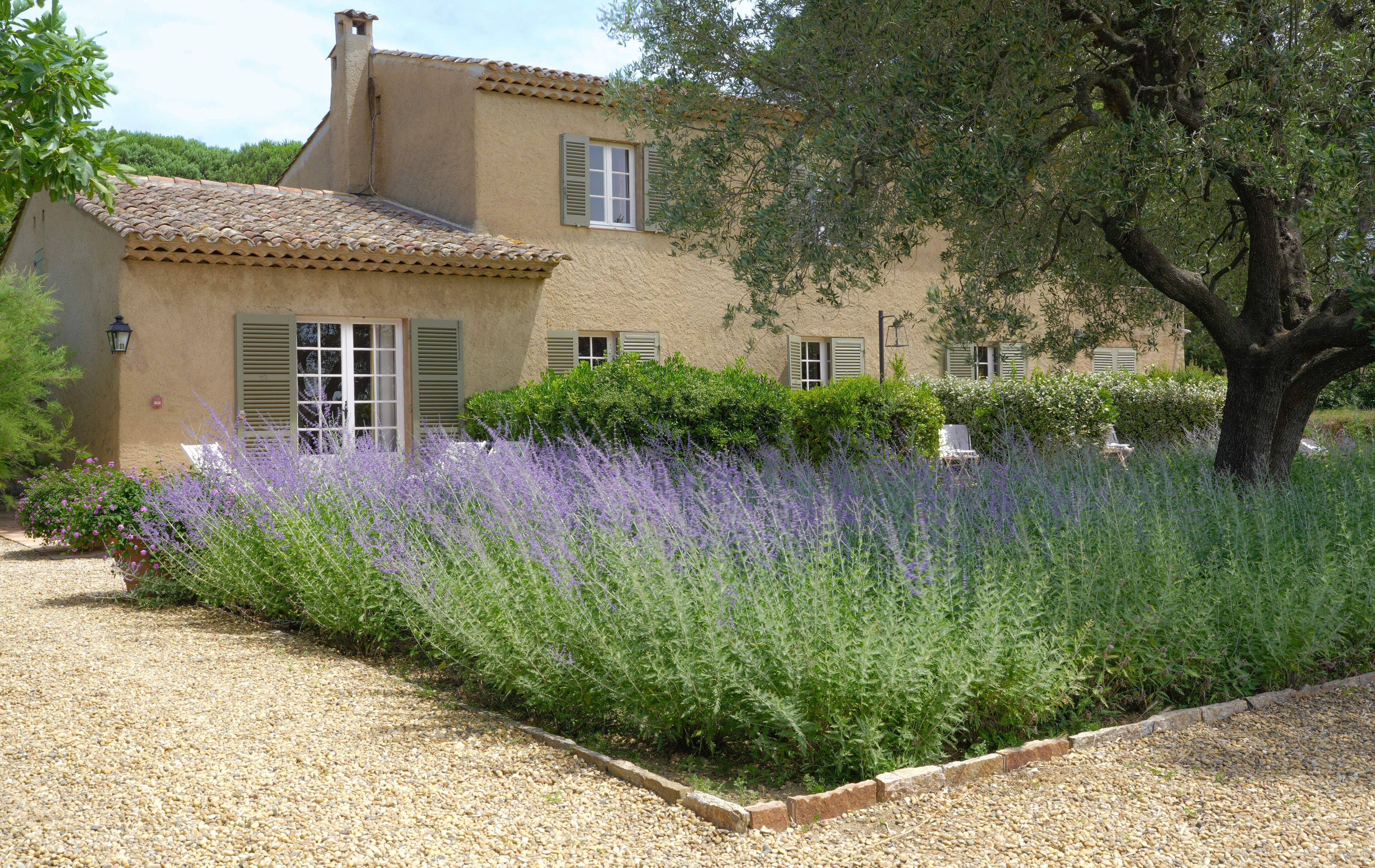Une maison avec un toit en tuiles, des volets verts et une allée gravillonnée.