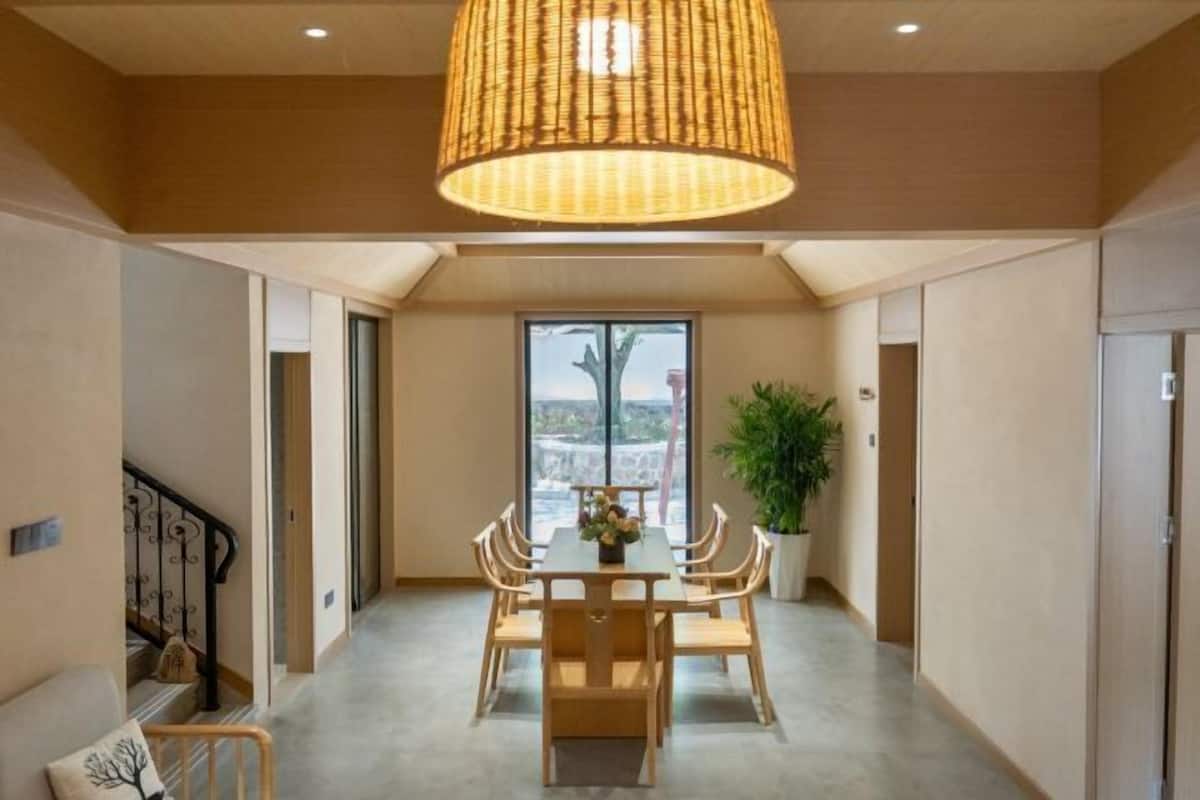 Un espace repas comprenant une table et des chaises, un luminaire suspendu et une plante en pot.