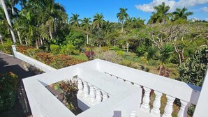 Una balaustra bianca con vista su un rigoglioso giardino e palme.
