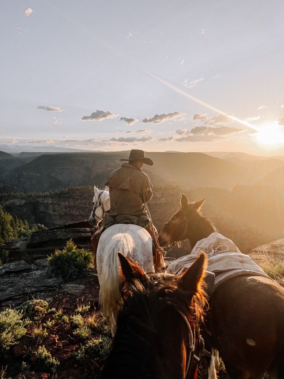 A person riding a horse on a mountain trail with a scenic view of the landscape.