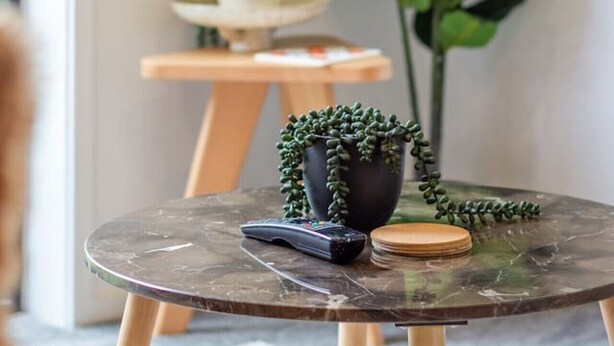 Una mesa redonda con una planta en maceta, un control remoto y una pila de libros.