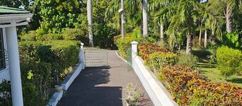 Dalkeith Cottage-Jasmin