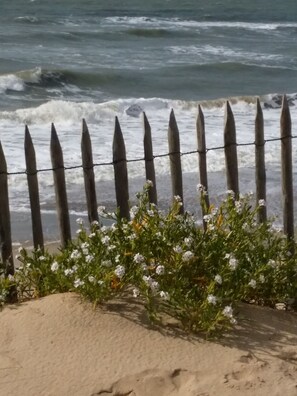 A sandy beach with a wooden fence and white flowers in the foreground. - Le Manoir Lacustre Medoc, large house near castles and Ocean15 to 22 people (Queyrac)