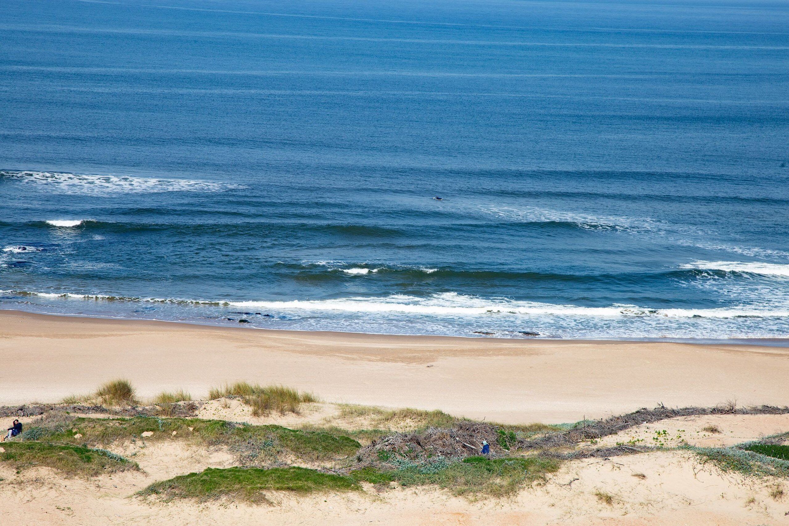 Lägenhet Basic | Strand | På stranden