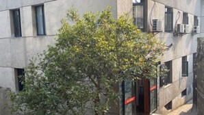 Um edifício moderno com uma árvore na frente, unidades de ar condicionado na fachada e entrada visível.