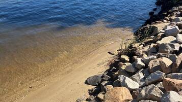 Plage, chaises longues