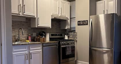 Modern Condo-Obama & University of Chicago Area