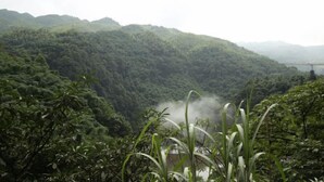 منوع