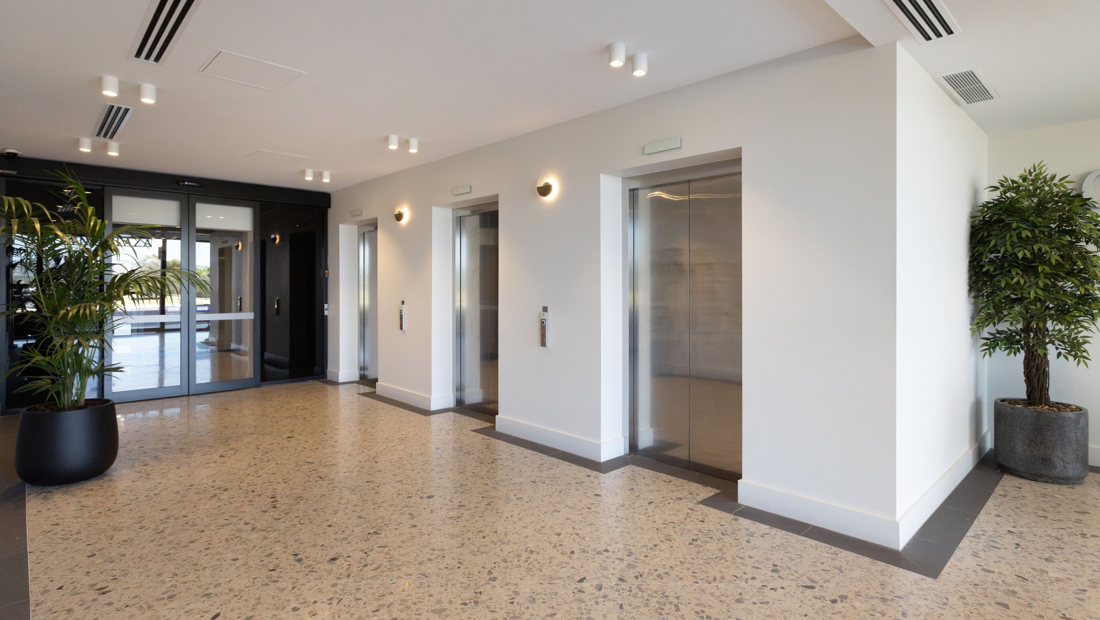 A modern hallway with a speckled floor, glass doors, and potted plants.
