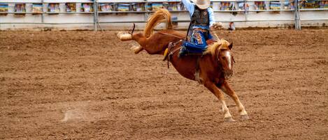 A person riding a horse in a dirt arena.