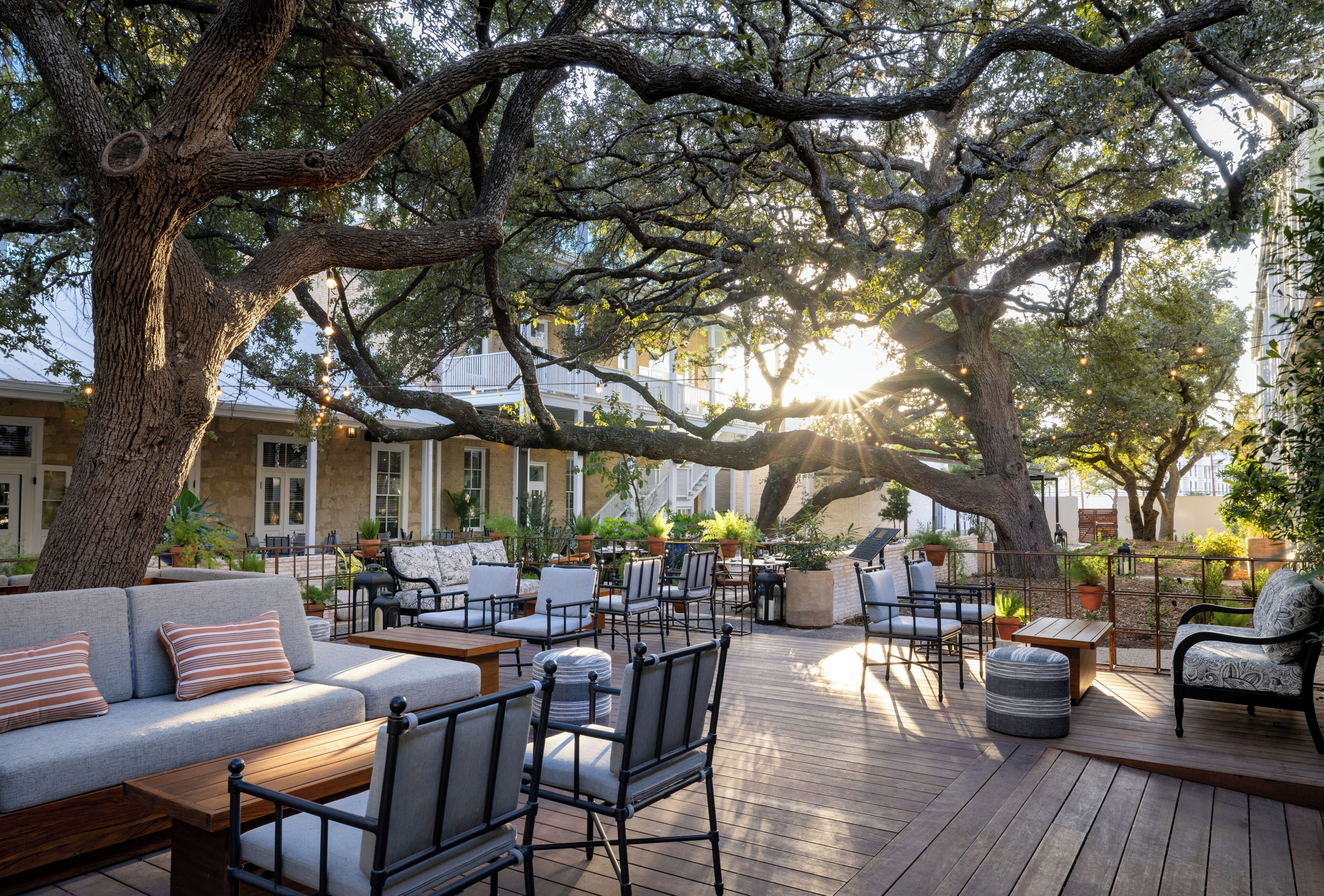 An outdoor seating area with wooden furniture, potted plants, and a large tree providing shade.