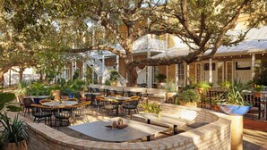 An outdoor seating area with tables and chairs, surrounded by potted plants and a large tree. - Kimpton Santo San Antonio - Riverwalk by IHG (San Antonio)