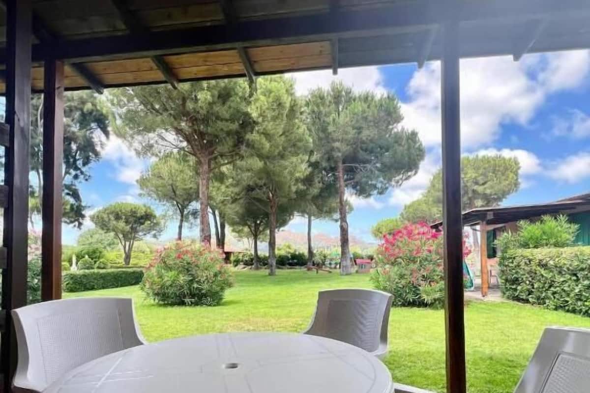 A covered patio with a round table and four chairs, overlooking a well-maintained garden with trees and shrubs.