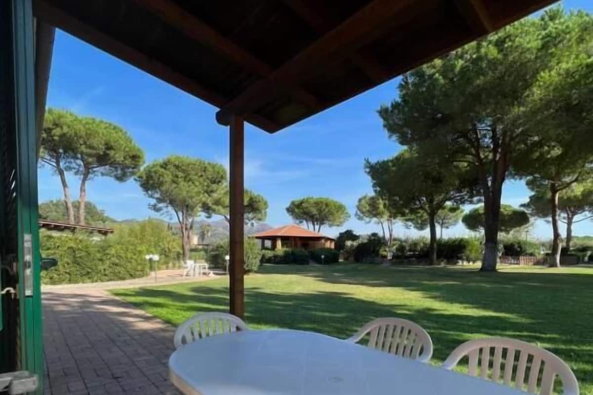 An outdoor patio with a round table and chairs, a pergola overhead, and a view of a grassy area with trees and a gazebo in the distance.
