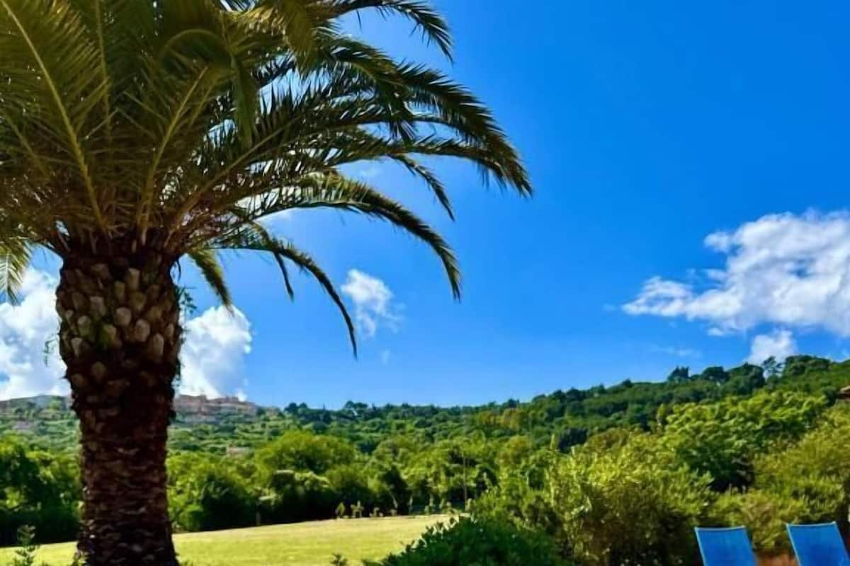 Suite, Park View | Terrace/patio