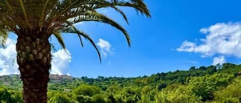 Suite, vue parc | Terrasse/Patio