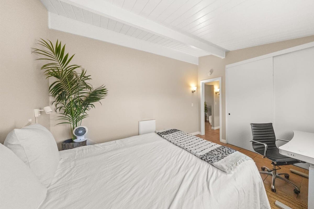 A hotel room with a bed, a desk, a chair, a potted plant, and a wardrobe.