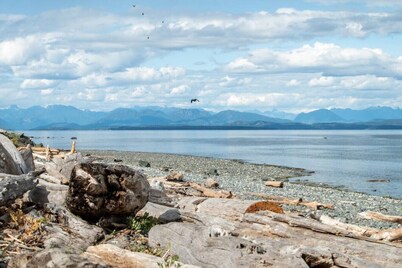 Beachfront | Sandy Shore, Near Mt. Washington