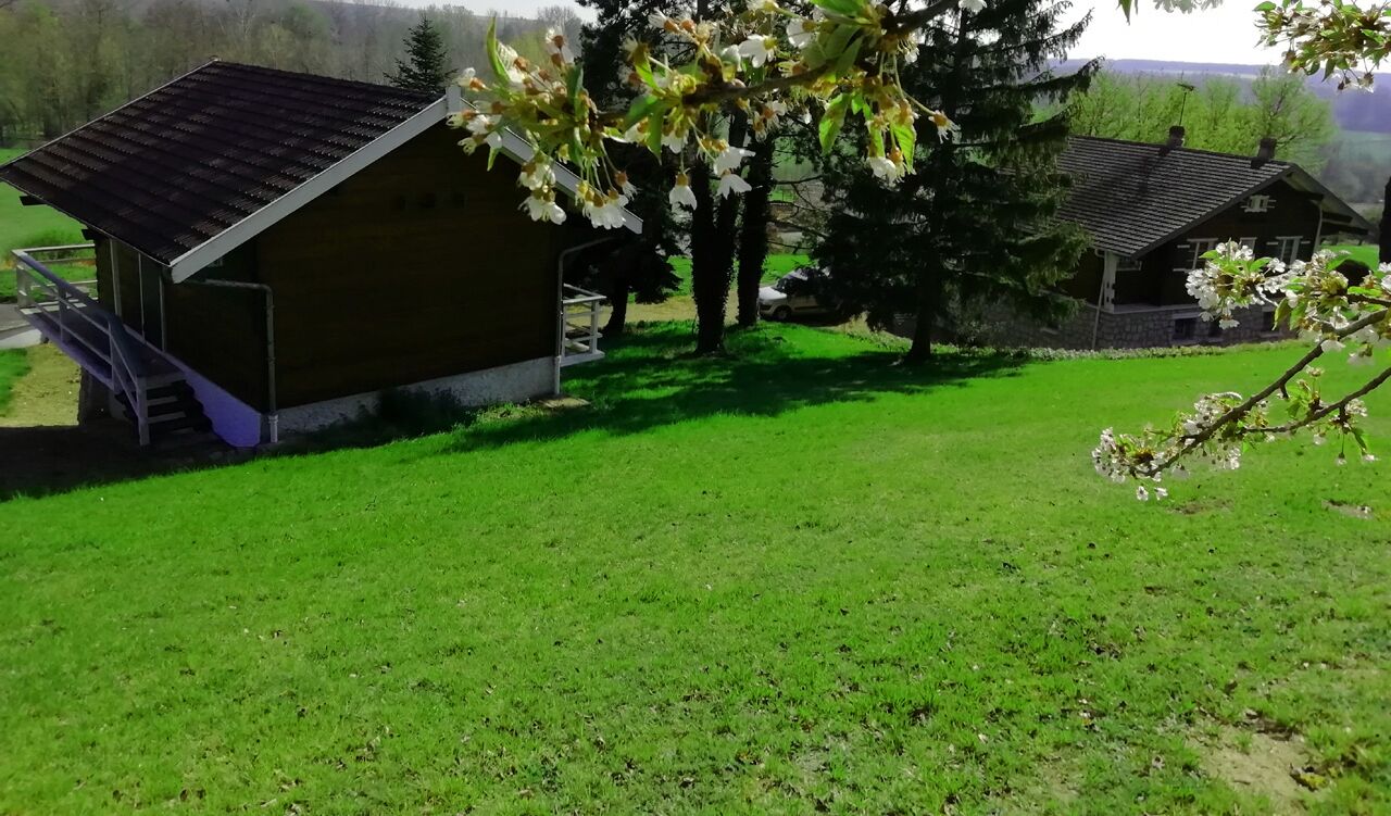 A rural property with a small wooden building, a grassy yard, and a tree with white blossoms.