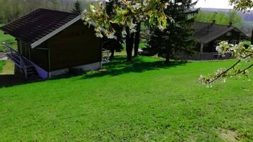 A rural property with a small wooden building, a grassy yard, and a tree with white blossoms.